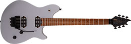 EVH WG STANDARD SERIES