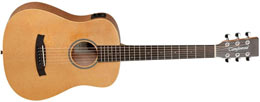 TANGLEWOOD WINTERLEAF TRAVEL TW2-TE