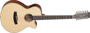 TANGLEWOOD WINTERLEAF SUPER FOLK TW12CE