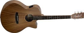 TANGLEWOOD WINTERLEAF EXOTIC GRAND AUDITORIUM TW4E-VC-BW