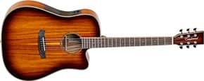 TANGLEWOOD WINTERLEAF EXOTIC DREADNOUGHT TW5E-KOA