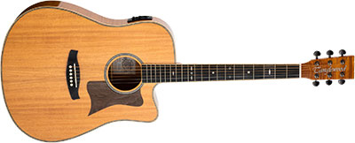 TANGLEWOOD REUNION DREADNOUGHT TR-DCE-FMH