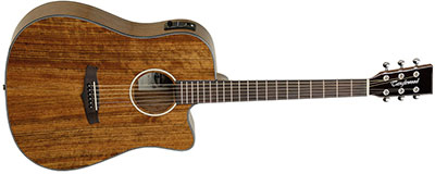 TANGLEWOOD EVOLUTION EXOTIC DREADNOUGHT TW28CE-X-OV