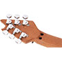 GUITARRA EVH WOLFGANG SPECIAL SERIES BAKED MAPLE 510-7701-597 - CHARCOAL BURST