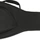 VIOLÃO FENDER MALIBU CLASSIC W/ DELUXE GIG BAG 097-0922-299 COSMIC TURQUOISE