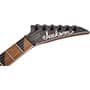 GUITARRA JACKSON DINKY ARCH TOP JS24 DKAM DX - 291-0339-585 - BLACK STAIN