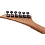 GUITARRA JACKSON DINKY ARCH TOP JS24 DKAM DX - 291-0339-585 - BLACK STAIN